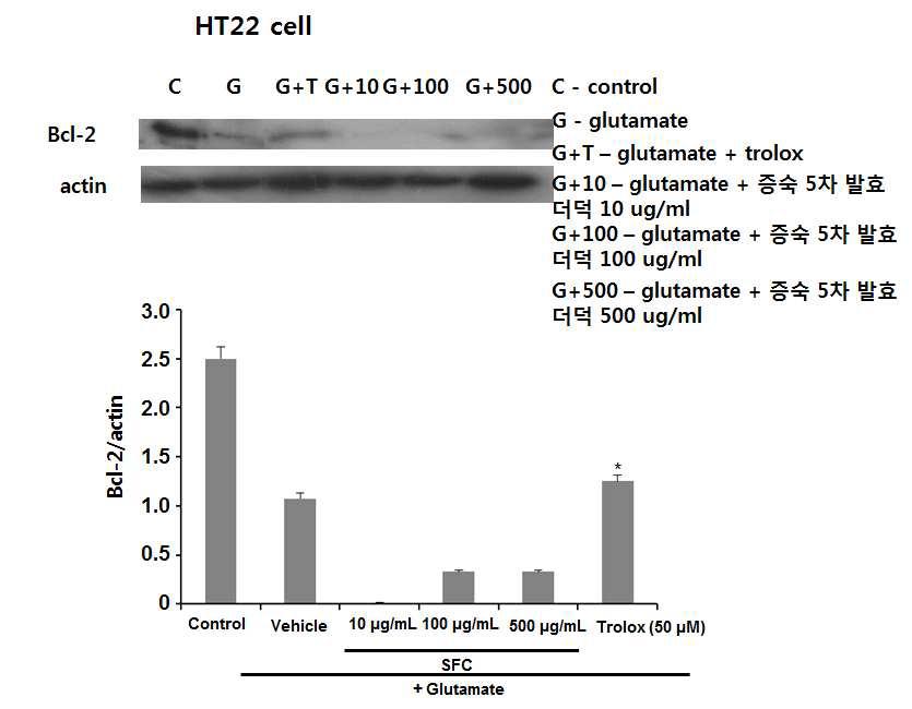 Effect of SFC on Bcl-2 protein level. Control group (C) glutamate group (G), Trolox group (G+T), and SFC group (G+10, G+100 and G+500 10, 100 and 500 μg/mL treated 1 h before glutamate treated). #p<0.05 vs. control group. *p<0.05 and **p<0.01vs glutamate. Results are expressed as mean ± SD. *p<0.05, **p<0.01 and ***p<0.001 vs. glutamate group (vehicle). SFC : Steamed and fermented C. lanceolata