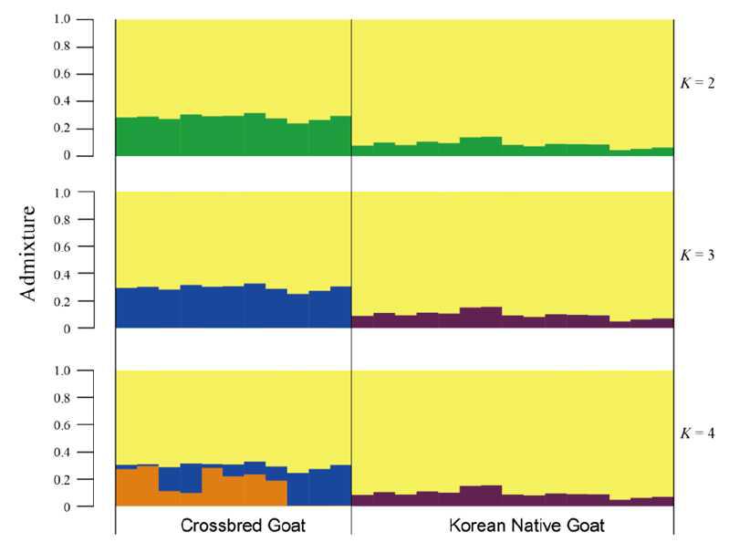한국 재래 염소와 잡종 염소 집단의 유전적 구조 분석