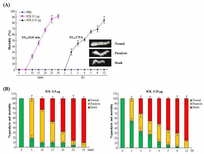 Toxicity of AcICK in B. mori larvae. Day 2 third-instar B. mori larvae were injected with 0.25 or 0.5 μg of AcICK/larva or PBS (10 μl/larva, injection controls). The data are expressed as the mean ± SD of three assays (n = 33).