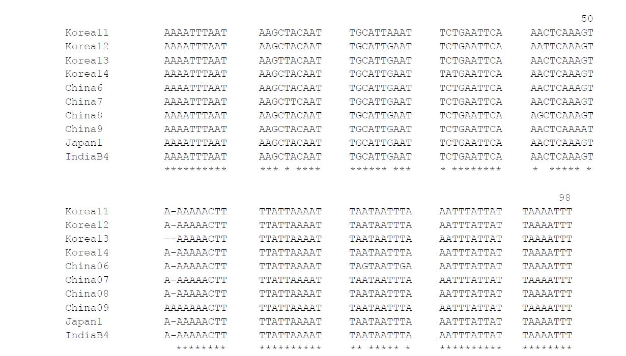 Sequence alignment of the ten haplotypes found in this study. Asterisks indicate identical sequenced.