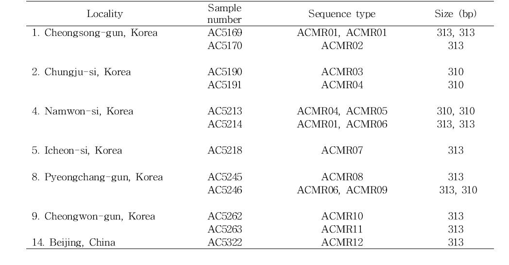 A list of sequencd MRJP9 gene intron region sequence type