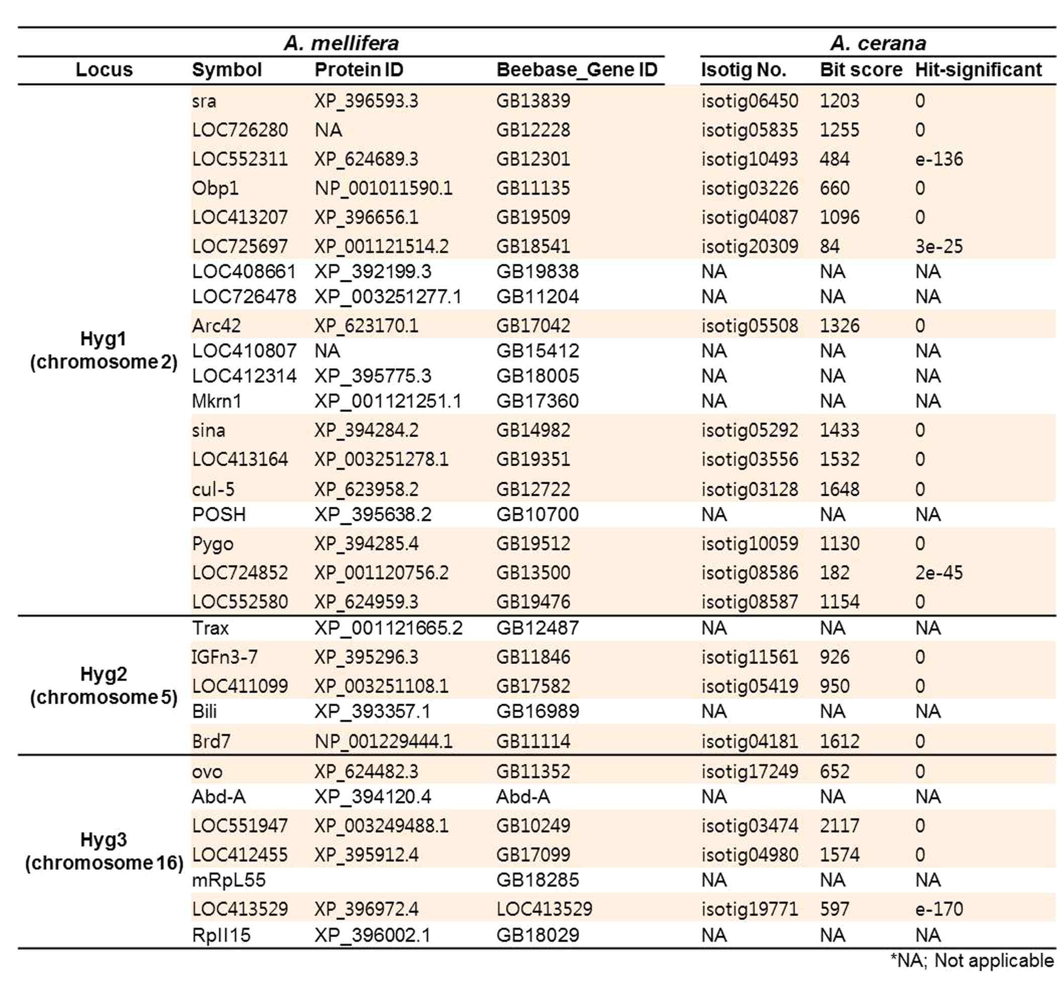 동양벌 RNA sequencing db를 이용한 사회성 곤충(B. terrestris, N. vitripennis)과 비사회성 곤충(D.melanogaster, A. agypti, T. castaneum)의 청소행동 관련 유전자 homology search