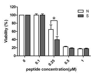 Anti-microbial effect of melN and melS peptides against Gram-negative bacteria, Escherichia coli.