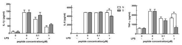 Anti-inflammatory effect of melN and melS peptides against murine microglial BV-2 cell.
