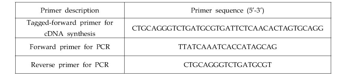 Nucleotide sequences of the primers to detect replicative strand of SBV.