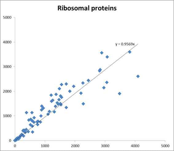 Distribution graph of transcript of ribosomal protein genes. X and Y axis represent the FPKM value of control and SBV infected sample, respectively.