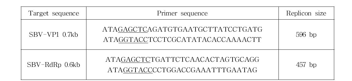 The primer sequences for cloning of SBV partial genes to synthesize antiviral dsRNAs. The underlined sequences are resrtiction endonuclease (SacI and Kpn I) recognition sequences.