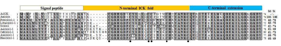 The alignment of the amino acid sequences for AcICK and known ICK peptides. The characteristic cysteine residues are indicated by solid circles. The signal peptide, N-terminal ICK fold, and C-terminal extension are shown. The sources of the aligned sequences are Apis cerana (this study, GenBank accession no. KJ530970), A. mellifera (GenBank accession no. XP_006560077), Pogonomyrmex barbatus (GenBank accession no.ADIH01011549), Linepithema humile (GenBank accession no. ADOQ01003051), Solenopsis invicta (GenBank accession no. JQ700385), Acromyrmex echinatior (GenBank accession no.AEVX01007421), Camponotus floridanus (GenBank accession no. AEAB01015096), Atta cephalotes (GenBank accession no. ADTU01022195), and Harpegnathos saltator (GenBank accession no. AEAC01004275). The AcICK sequence was used as the reference for the identity/similarity (Id/Si) values.