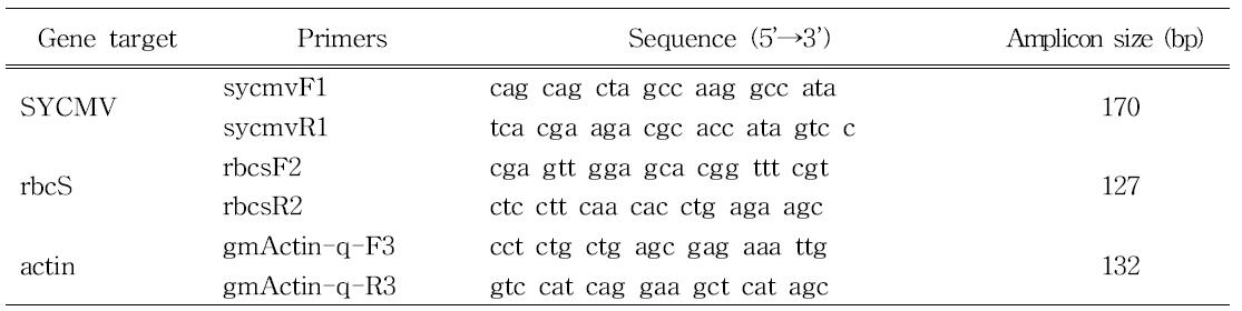 real-time PCR에 사용된 Primer set 목록