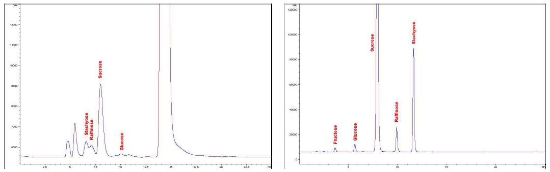 신기콩 수용성 당의 LC-RID(좌) 및 LC-ELSD(우) 크로마토그램