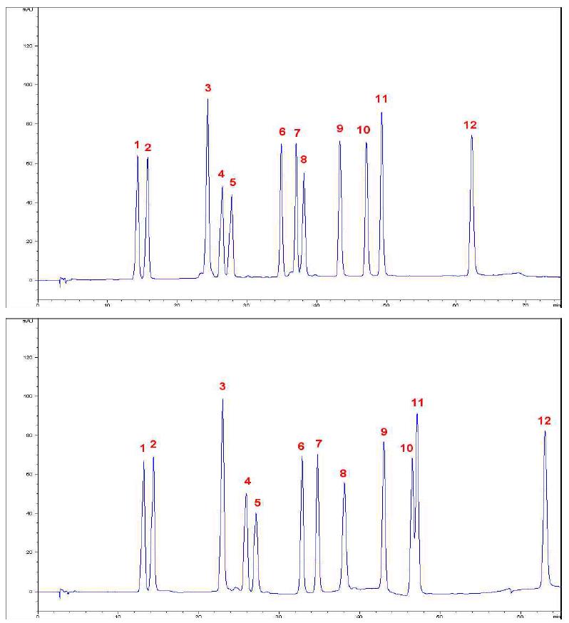 콩 함유 이소플라본 12종의 칼럼별 분리 양상(상: ODS-AM, 하:RS)