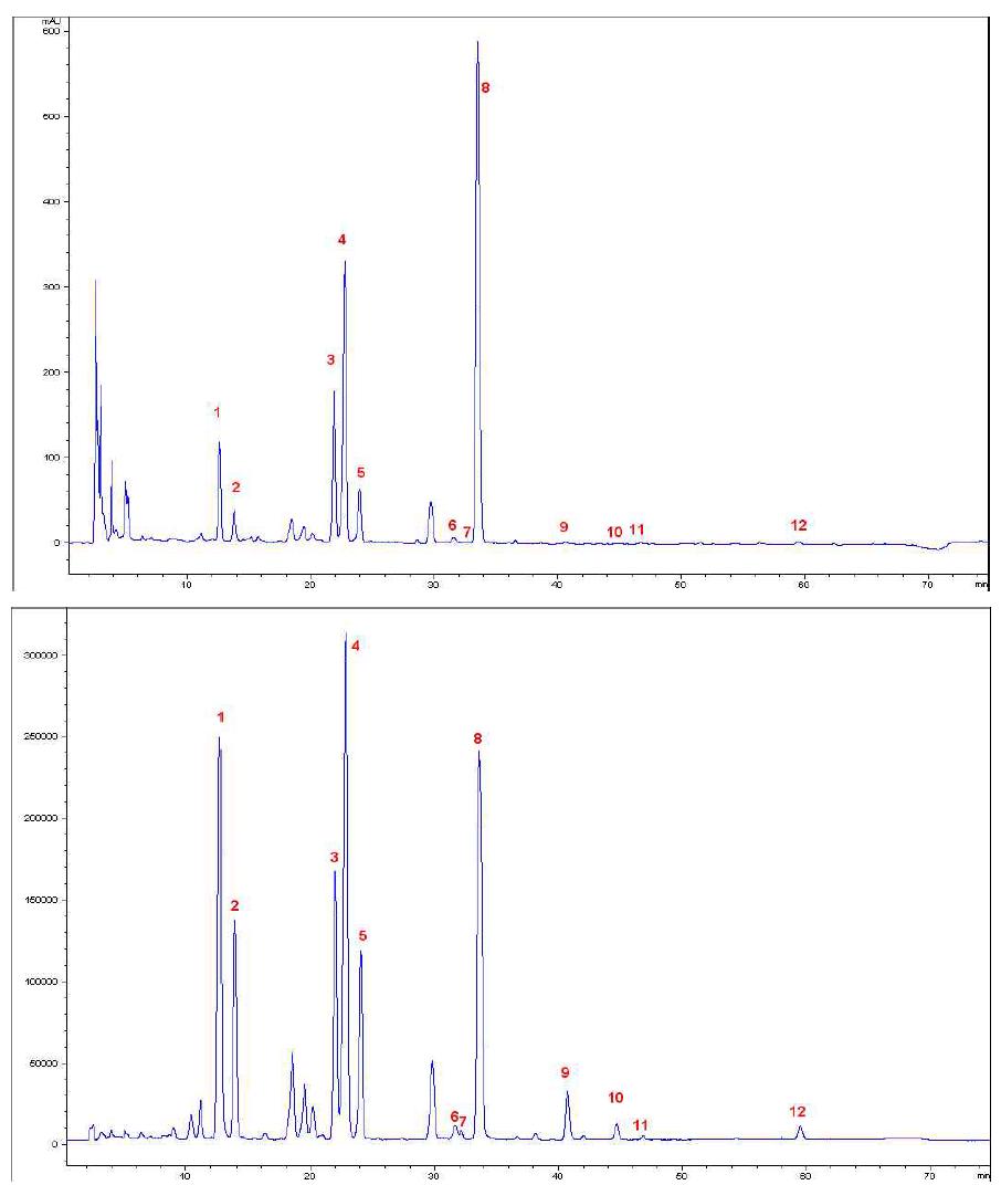 대원콩 함유 이소플라본의 검출기별 크로마토그램 비교(상: DAD, 하: MS/SIM)