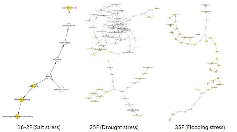 적습조건과 비교하여 염해, 한해, 습해에 관여하는 단백질의 GO 분석 결과.