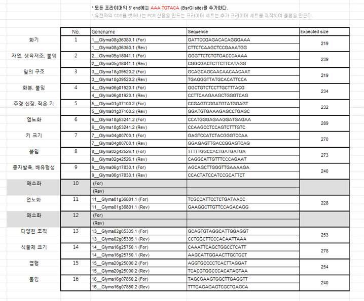 SYCMV VIGS 벡터 삽입을 위한 유전자 단편 제작용 프라이머 세트