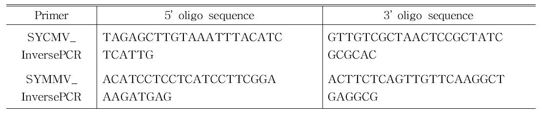 Blunt end를 갖는 VIGS vector 제작 oligomer