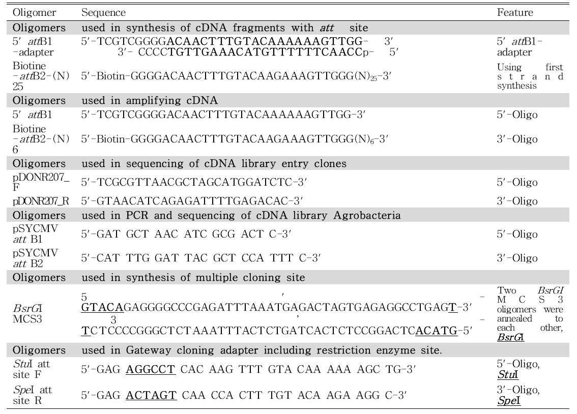 콩 cDNA library 제작을 위해 사용된 oligomer