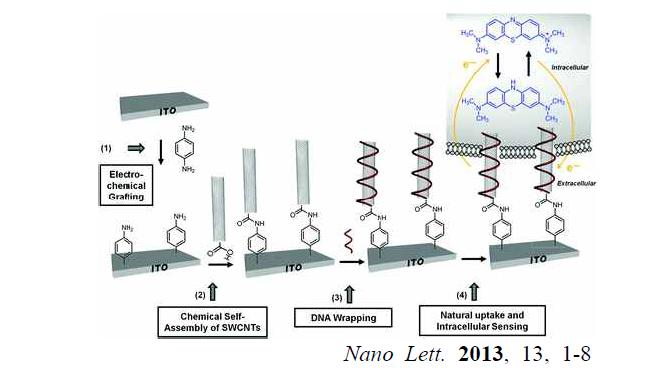 자기조립된 나노튜브 전극 실험의 모식도.