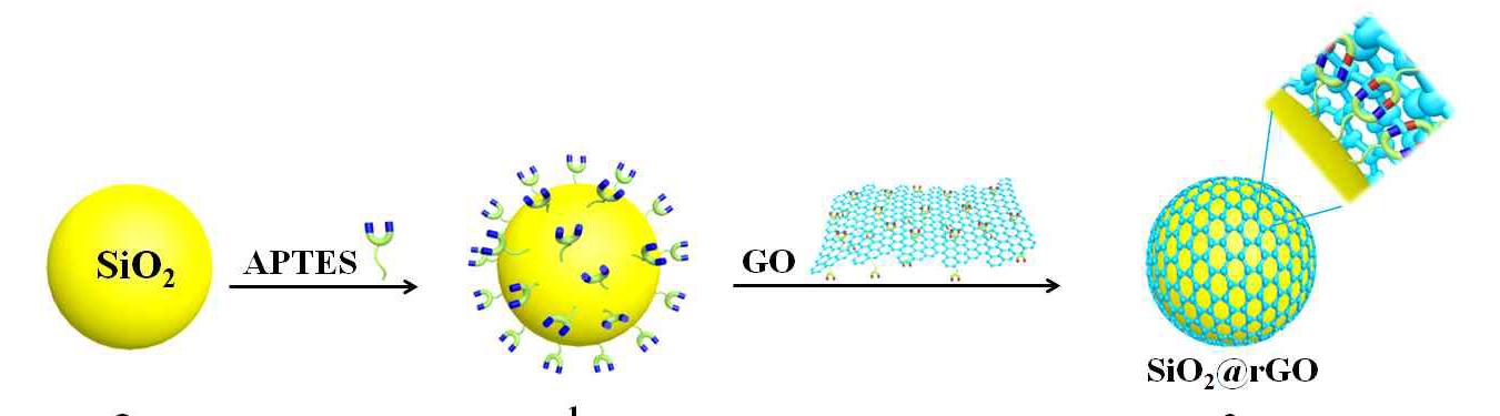 SiO2@rGO 합성의 모식도.