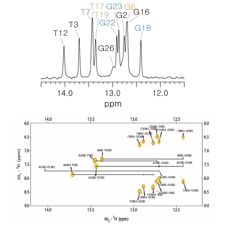 AtSPL14-WT의 15℃에서 측정된 1D NMR 스펙트럼과 NOESY 스펙트럼.