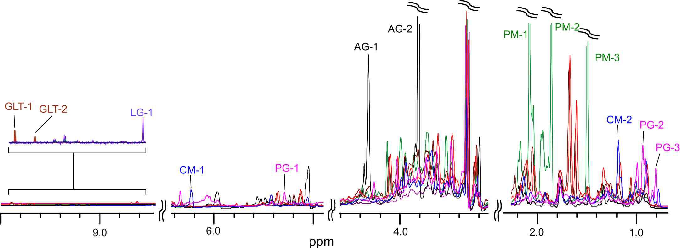 허브 추출물의 바이오 마커를 표시한 1H NMR Spectra.