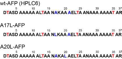 winter flounder type I AFP (HPLC6 form)과 두 개의 돌연변이 A17L-, 및 A20L-AFP의 아미노산 서열.