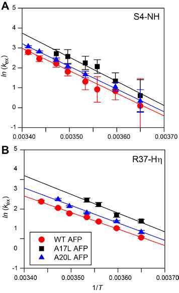 wt- (빨간 원), A17L- (검은 사각형), 및 A20L-AFPs (파란 삼각형) 대 온도의 역수의 (A) S4 아마이드 수소 및 (B) R37-Hη 사이드-체인에 대한 kex값의 로그 스케일.