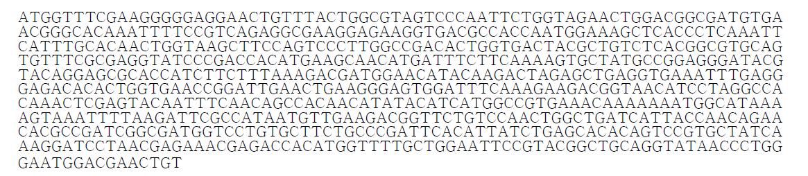 청색 형광단백질 EBFP2 유전자 염기서열