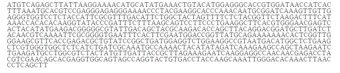 청색 형광단백질 TaqBFP 유전자 염기서열