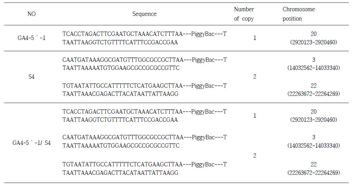 Inverse PCR 분석에 의한 GA4-5-1, S4 및 이들 교배종 유전특성 분석