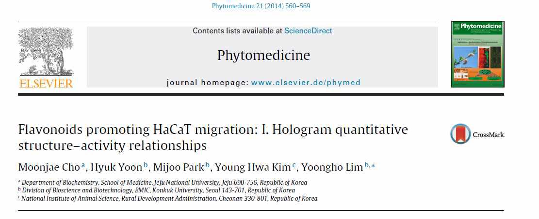 HaCaT cell migration 측정