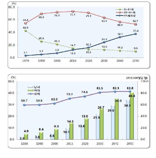 고령화에 따른 인구 트렌드 및 고령자 성비 현황 (통계청, 2013)
