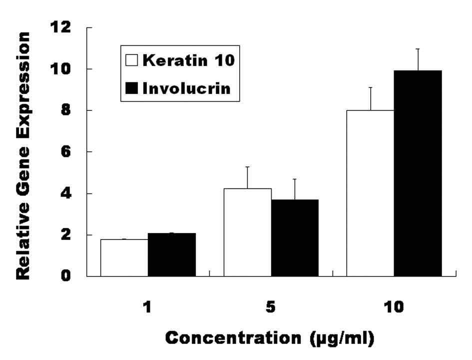 Quantitative RT-PCR 결과