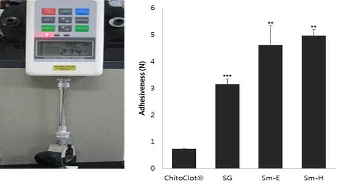 실크 단백질 지혈 소재의 접착력 측정기와 접착력 측정 결과