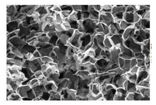Scanning eclecron micrograph of silk materials.