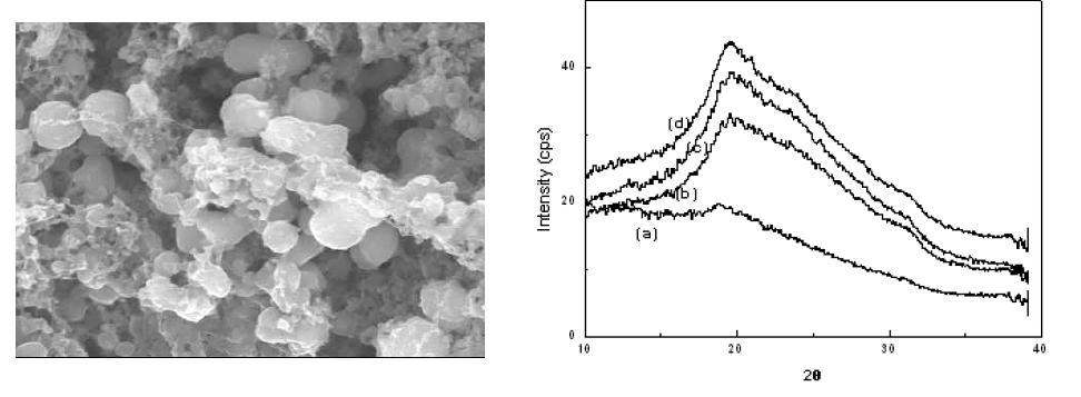 Microphotograph and X-ray diffraction curves of silk materials