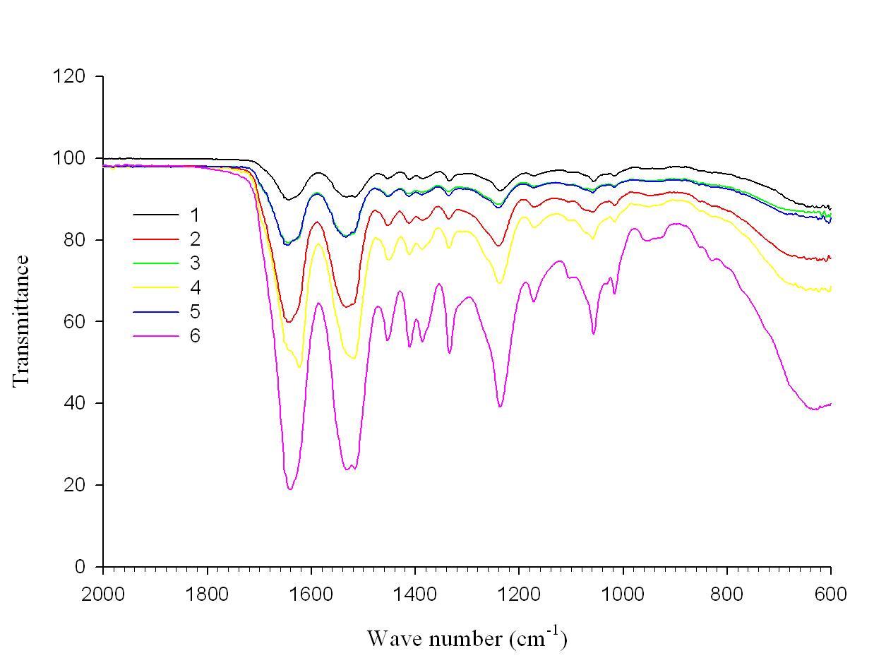 실크 피브로인 용해조건에 따른 실크 생체막의 IR 스펙트럼