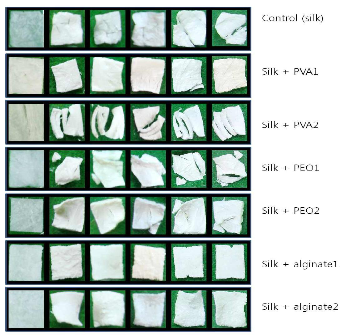 실크 생체막의 생분해성 평가