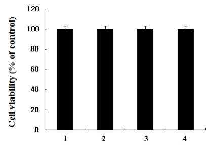 Effect of transparent silk fibroin dura mater on cell viability