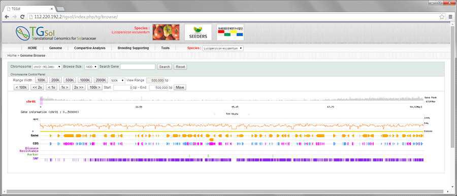 토마토 표준유전체를 이용해 특화된 유전체 브라우저(genome browser) 구현 (http://112.220.192.2/potato/index.php/tomato/browse/)