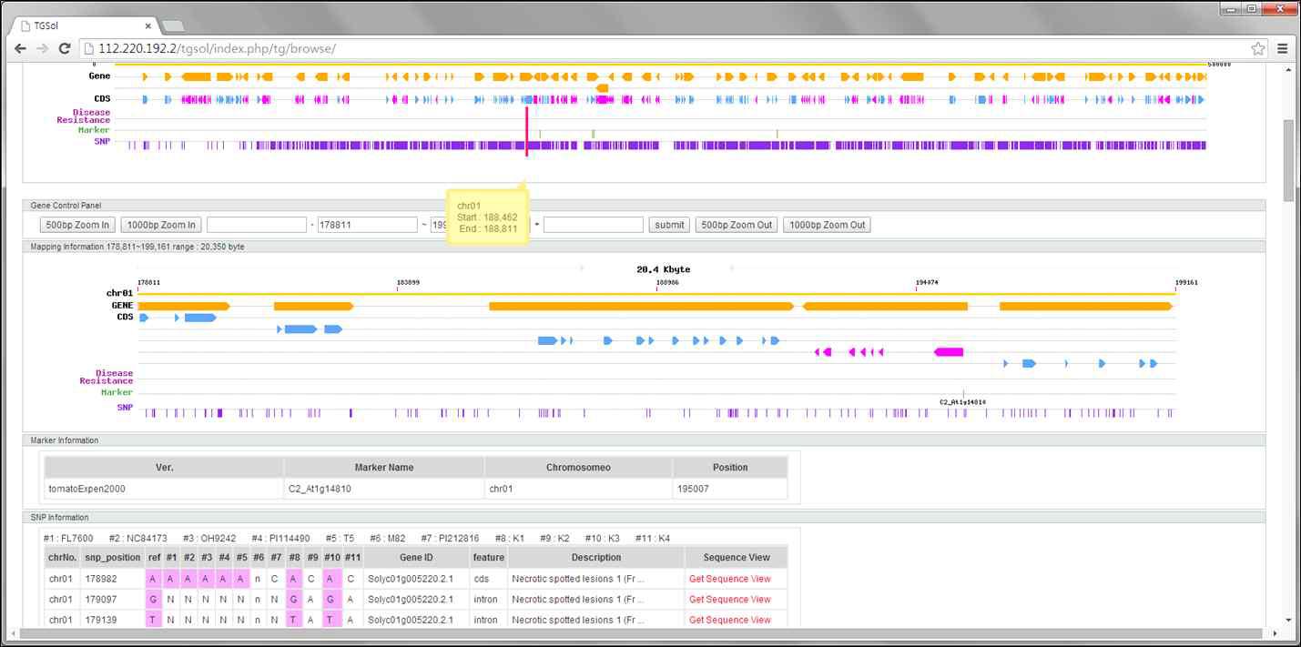 토마토 표준유전체를 이용해 특화된 유전체 브라우저(genome browser) 구현 (http://112.220.192.2/potato/index.php/tomato/browse/)