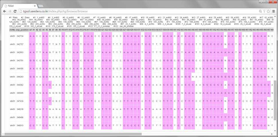 고추 resequencing 데이터의 SNP database