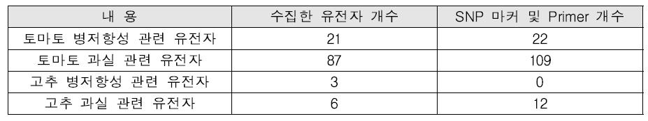 토마토, 고추의 목표형질 관련 유전자 개수 및 SNP 개수