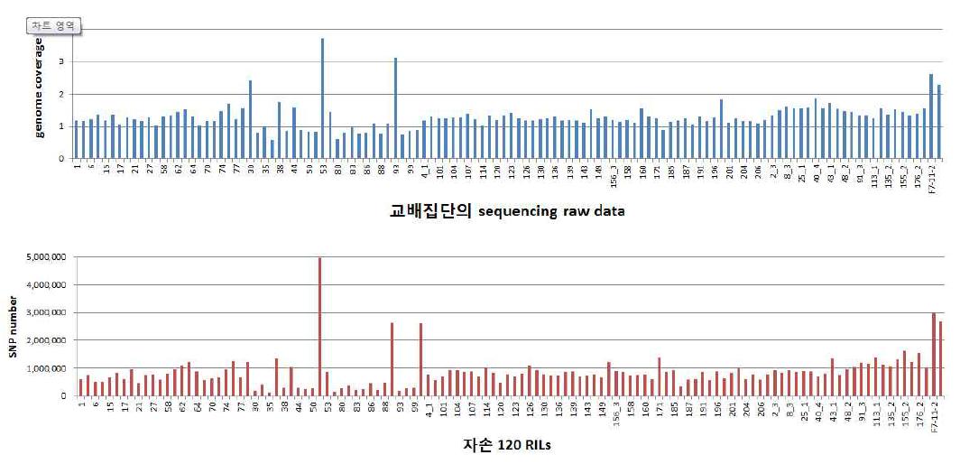 고추 120 RILs의 resequencing data의 genome coverage 와 SNP 개수