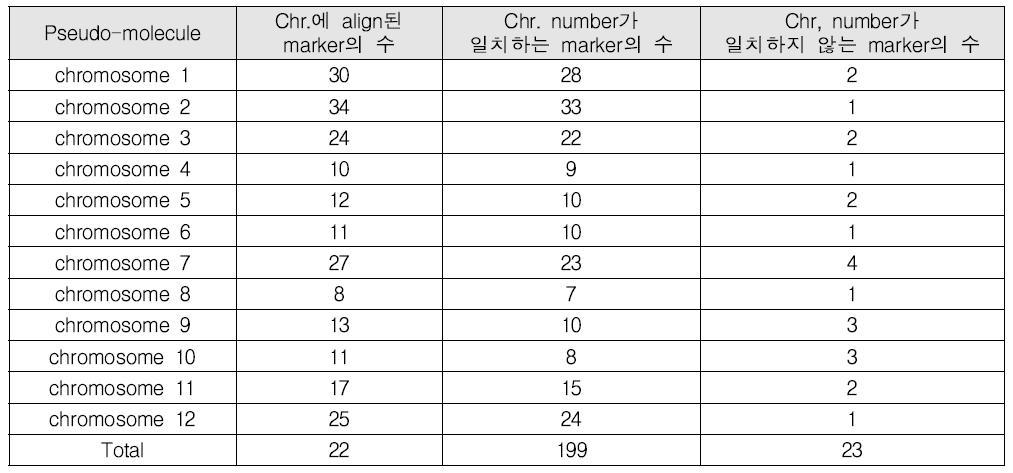 염색체 별 align된 pepper COS II. marker 통계