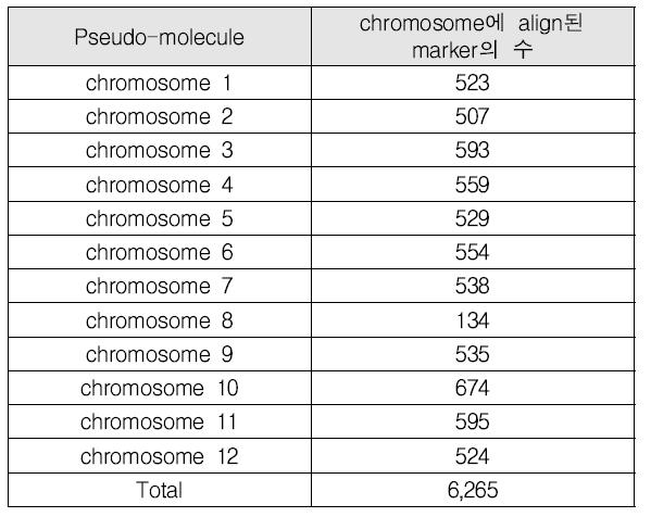 염색체 별 align된 genome-wide SNP marker 통계