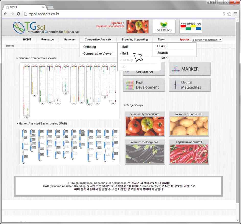 가지과 작물에 특화된 유전체 데이터베이스 (TGsol) (http://tgsol.seeders.co.kr)