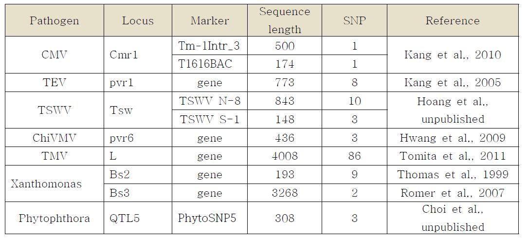 병 저항성 유전자 혹은 연관 분자표지의 SNP분석