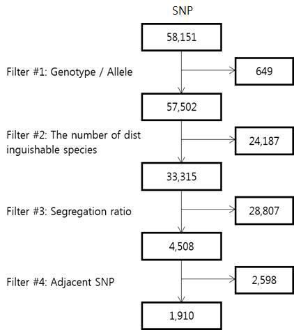 SNP filtering 과정.