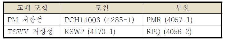 다형성 검정을 실시 한 교배 조합의 양친 목록