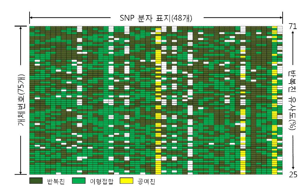 PM 저항성 육성 집단(여교잡 1세대)의 BioMarkTM HD system 분석 결과.